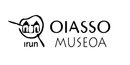 Oiasso Museo Romano